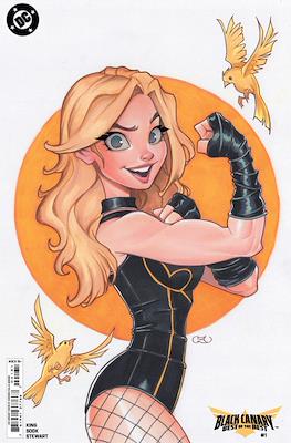 Black Canary: Best of the Best (2024-Variant Covers) #1.2