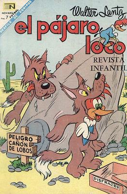 El pájaro loco #304