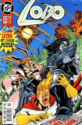 Lobo #11