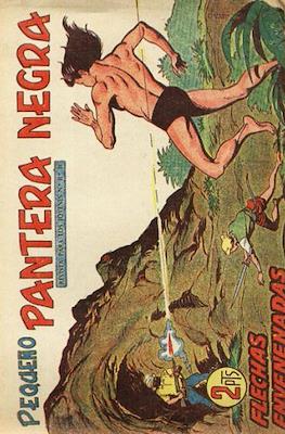Pantera Negra / Pequeño Pantera Negra #221