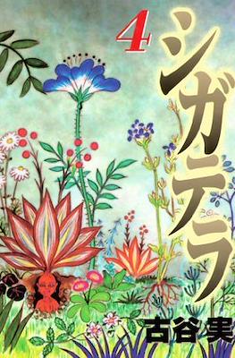 シガテラ (Ciguatera) #4