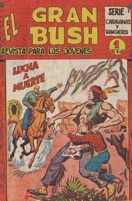 El gran Bush #27