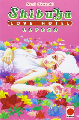 Shibuya Love Hotel #2