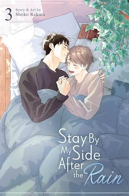 Stay By My Side After The Rain #3