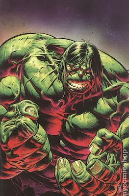 The Incredible Hulk (2023-Variant Cover) #19.5