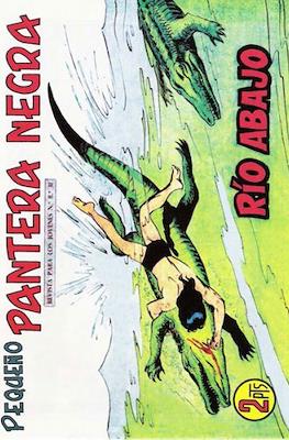 Pantera Negra / Pequeño Pantera Negra #313