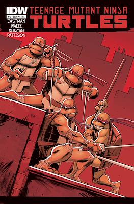 Teenage Mutant Ninja Turtles #12