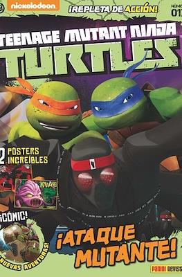 Teenage Mutant Ninja Turtles #13