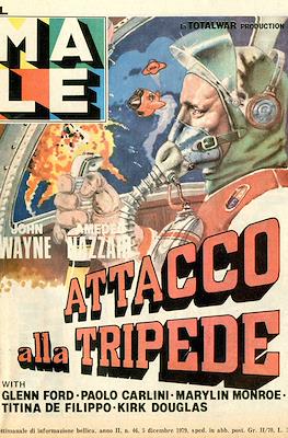 Il male - Año II (1979) #46