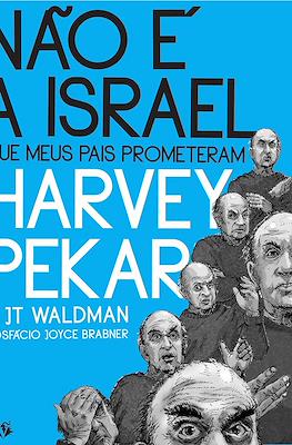Não é a Israel que meus pais prometeram