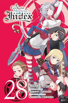 A Certain Magical Index (Softcover) #28