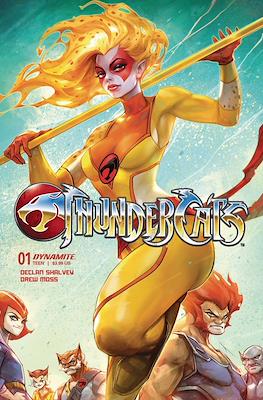 ThunderCats (2024 - Variant Cover) #1.14