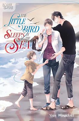 The Little Bird Sleeps By The Sea