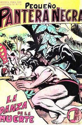 Pantera Negra / Pequeño Pantera Negra #110