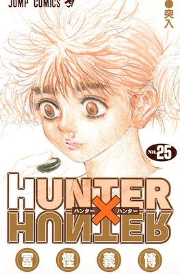 Hunter x Hunter ハンター×ハンター (Rústica con sobrecubierta) #25