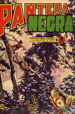 Pantera Negra #24