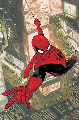 The Amazing Spider-Man: Torn