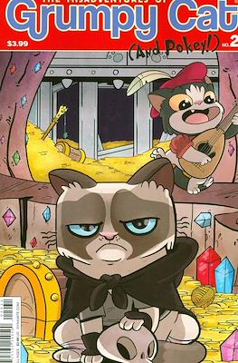 The Misadventures of Grumpy Cat (and Pokey!) (2015 Variant Cover) #2.2