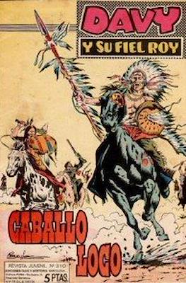 Rin-tin-tin / Davy y su fiel Roy #310