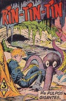 Rin-tin-tin / Davy y su fiel Roy #111