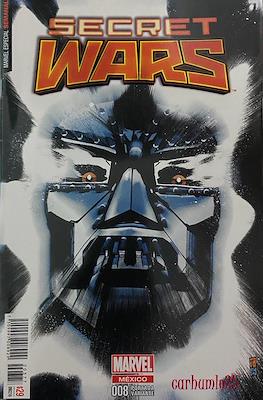 Secret Wars (Portadas variantes) (Grapa) #8.4