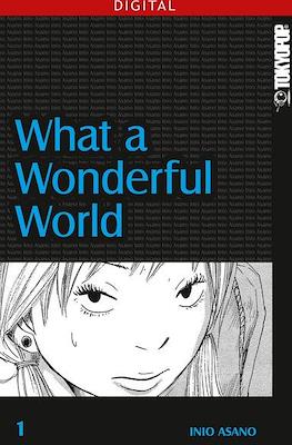 What A Wonderful World #1