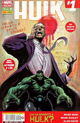 Hulk e i Difensori #28
