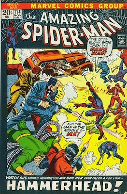 The Amazing Spider-Man Vol. 1 (1963-1998) (Comic-book) #114