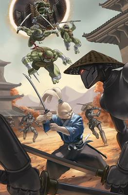 Teenage Mutant Ninja Turtles/Usagi Yojimbo - Wherewhen (Variant Covers) #1.12