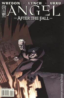 Angel After the Fall (2007-2009 Variant Cover) #7