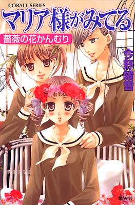 マリア様がみてる (Maria-sama ga Miteru) #29