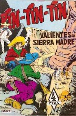 Rin-tin-tin / Davy y su fiel Roy #247