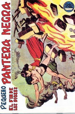 Pantera Negra / Pequeño Pantera Negra #165