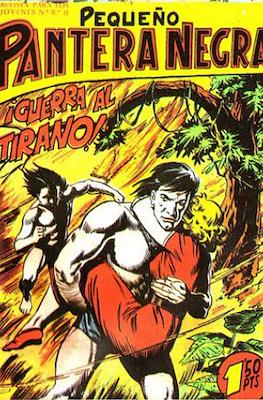 Pantera Negra / Pequeño Pantera Negra #113
