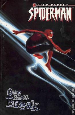 Peter Parker Spider-Man By Paul Jenkins and Zeb Wells (2001-2003) #2