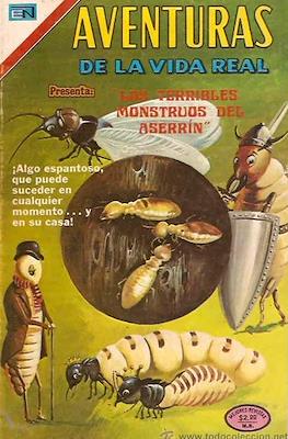Aventuras de la vida real #240