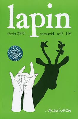 Lapin #37