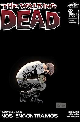 The Walking Dead #43