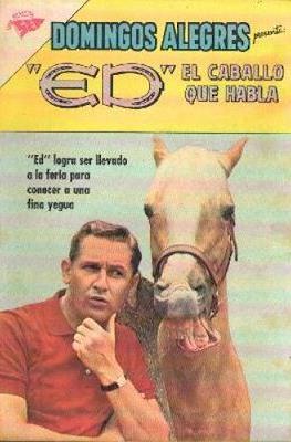 Domingos Alegres #469