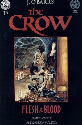 The Crow: Flesh & Blood #1