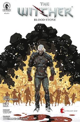 The Witcher Blood Stone #3