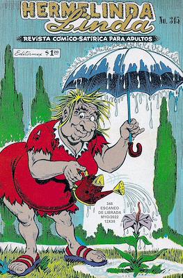 Brujerías / Hermelinda Linda (Grapa 36 pp) #345