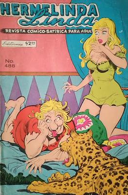 Brujerías / Hermelinda Linda #488