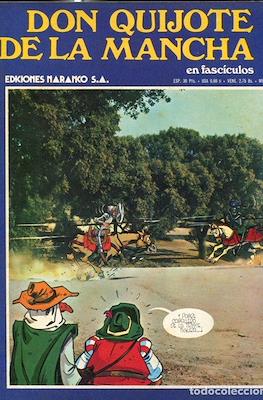 Don Quijote de la Mancha #28