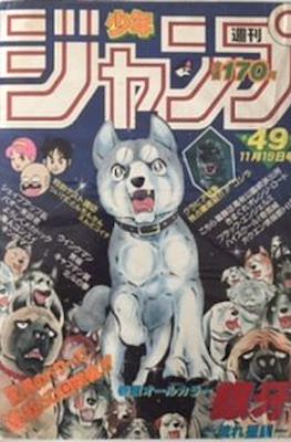 Weekly Shōnen Jump 1984 #49