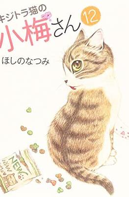 キジトラ猫の小梅さん 虎斑猫小梅 (Kijitora Neko no Koume-san) #12