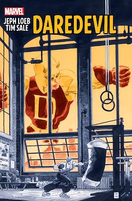 Jeph Loeb & Tim Sale: Daredevil