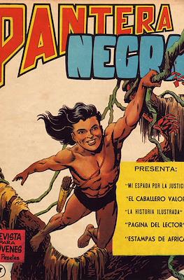 Pantera Negra #7