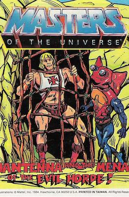 Masters of the Universe #24