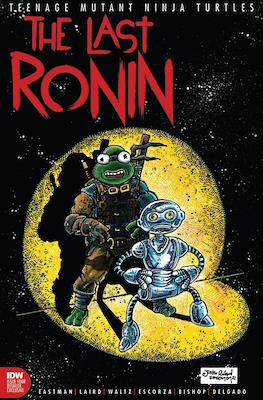 Teenage Mutant Ninja Turtles: The Last Ronin (Variant Cover) #4.9
